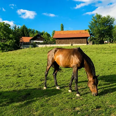 아파트 Tourist Farm Ranc Velka Spodnja Velka