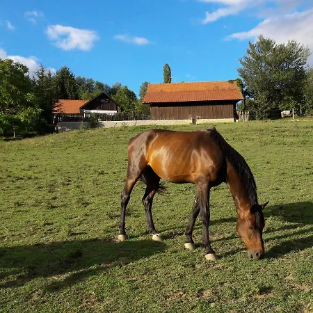 Apartment Tourist Farm Ranc Velka *