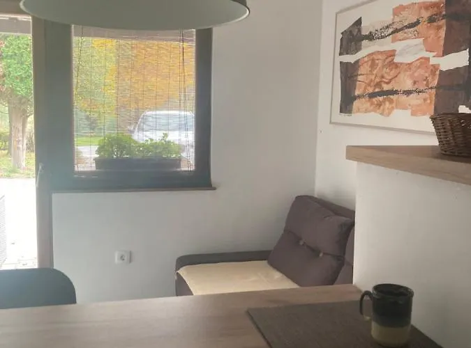 公寓 Tourist Farm Ranc Velka Spodnja Velka