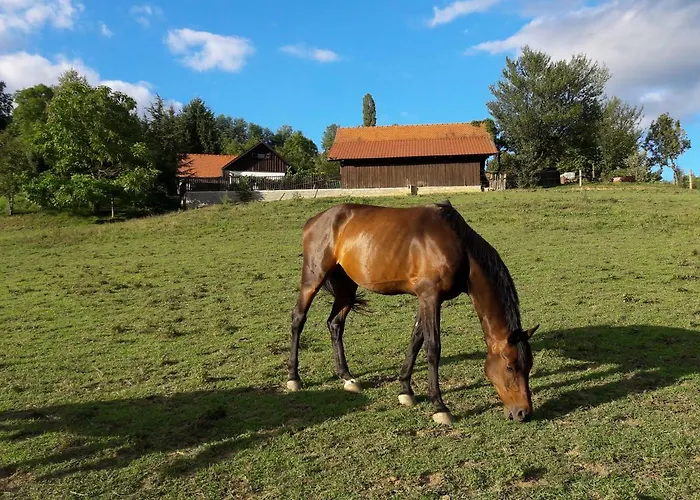 公寓 Tourist Farm Ranc Velka *